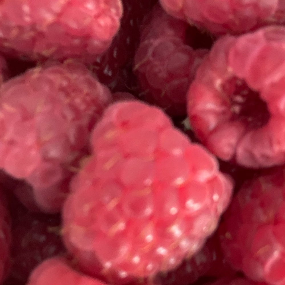 Meet your Posher, Meggie Ann